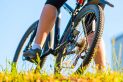 Chronic Pain and Exercise