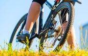 Chronic Pain and Exercise