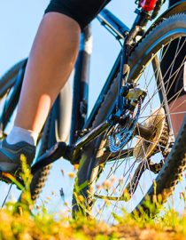 Chronic Pain and Exercise Chronic Pain and Exercise