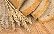 Gluten and Pain